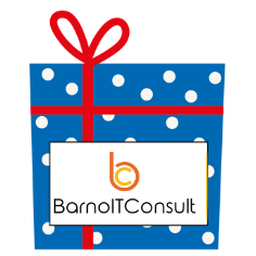 BarnoITConsult