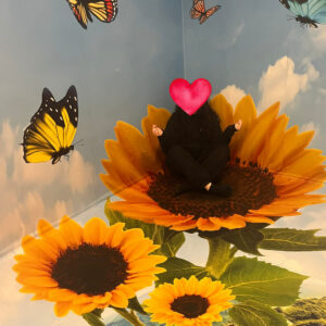 Mädchen sitzt im Schneidersitz in einer riesigen Sonnenblume